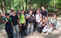 waldjugendspiele2024-9